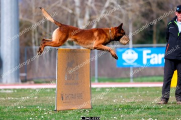 L_IMG_0233.jpg