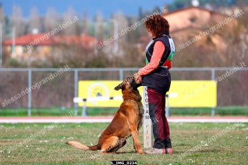 L_IMG_0234.jpg