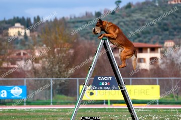 L_IMG_0236.jpg