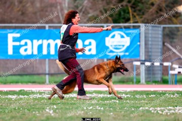 L_IMG_0237.jpg