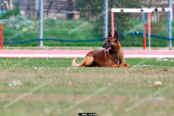 L_IMG_0238.jpg