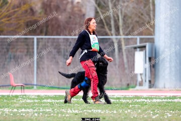 L_IMG_0240.jpg