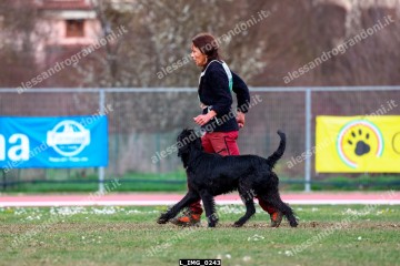 L_IMG_0243.jpg