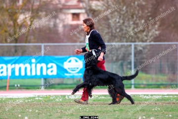 L_IMG_0244.jpg