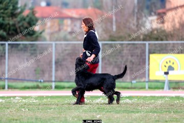 L_IMG_0245.jpg