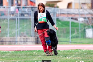 L_IMG_0249.jpg