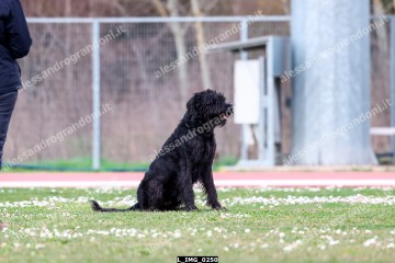 L_IMG_0250.jpg