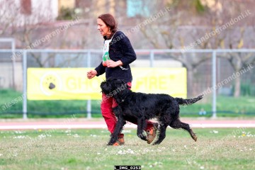 L_IMG_0253.jpg