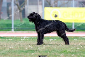 L_IMG_0254.jpg