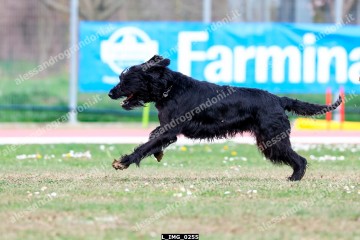 L_IMG_0255.jpg