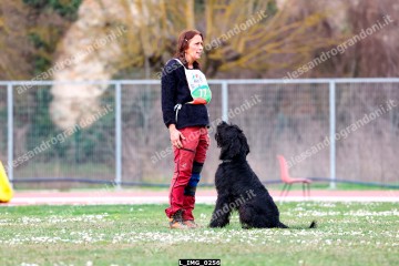 L_IMG_0256.jpg