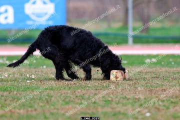 L_IMG_0257.jpg