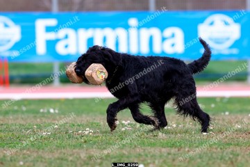 L_IMG_0259.jpg