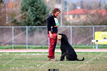 L_IMG_0260.jpg