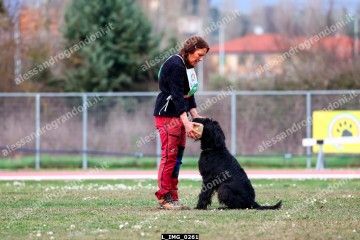L_IMG_0261.jpg