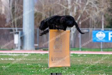 L_IMG_0262.jpg