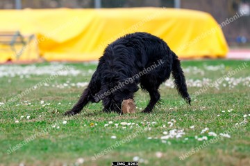 L_IMG_0263.jpg
