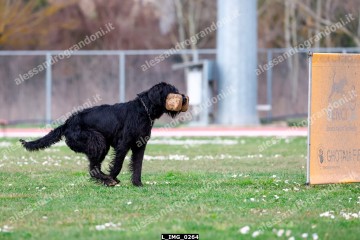L_IMG_0264.jpg