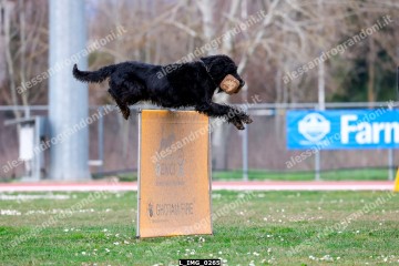 L_IMG_0265.jpg
