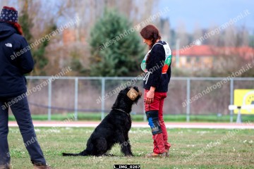 L_IMG_0267.jpg