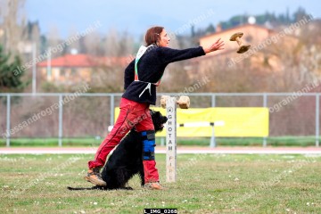 L_IMG_0268.jpg