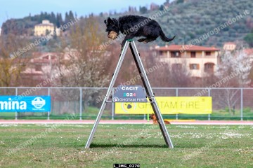 L_IMG_0270.jpg