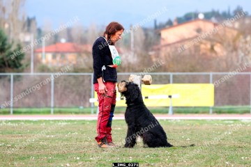 L_IMG_0271.jpg