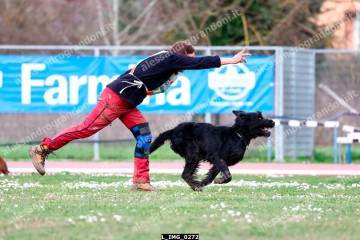 L_IMG_0272.jpg