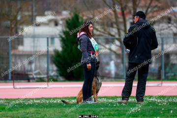 M_IMG_3543.jpg