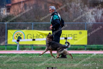 M_IMG_3558.jpg
