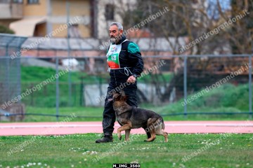 M_IMG_3560.jpg