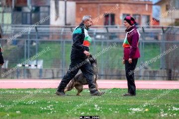 M_IMG_3566.jpg