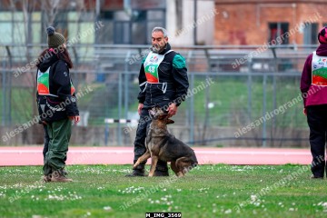 M_IMG_3569.jpg