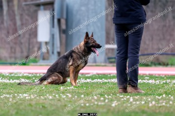 M_IMG_3572.jpg