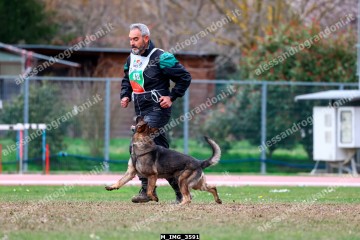 M_IMG_3591.jpg