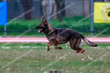 M_IMG_3597.jpg