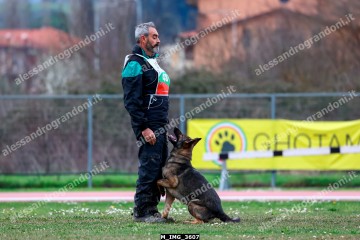 M_IMG_3607.jpg