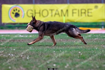 M_IMG_3610.jpg