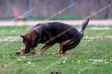 M_IMG_3639.jpg