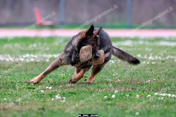 M_IMG_3648.jpg