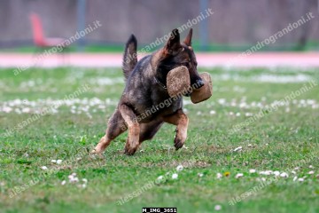 M_IMG_3651.jpg