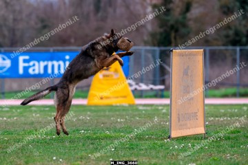 M_IMG_3660.jpg