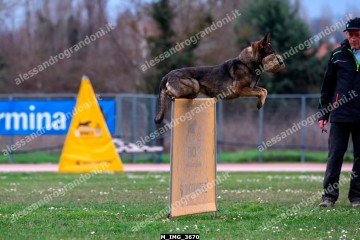 M_IMG_3670.jpg