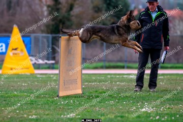 M_IMG_3673.jpg