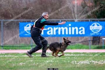 M_IMG_3701.jpg