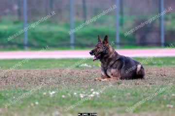 M_IMG_3708.jpg