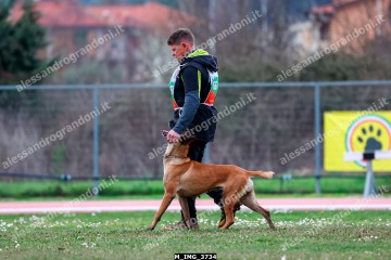 M_IMG_3734.jpg