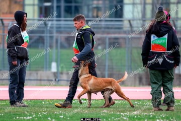 M_IMG_3739.jpg