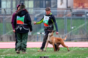 M_IMG_3743.jpg