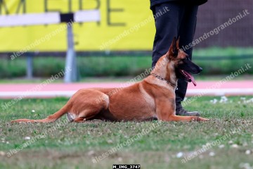 M_IMG_3747.jpg